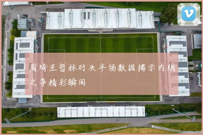 周琦王哲林对决半场数据揭示内线之争精彩瞬间